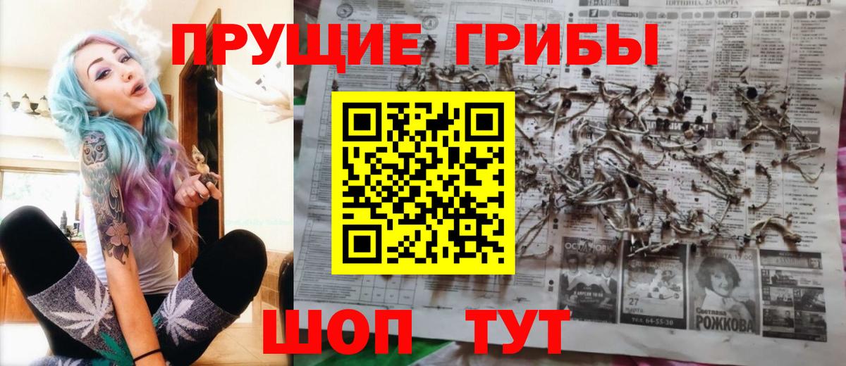 Псилоцибиновые грибы Psilocybine cubensis  Вход с VPN  дарнет шоп  Родники 