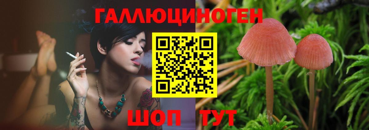 Псилоцибиновые грибы MAGIC MUSHROOMS Родники